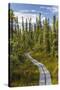 USA, Alaska, Tetlin National Wildlife Refuge. Scenic of Hidden Lake Trail.-Jaynes Gallery-Stretched Canvas