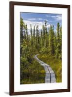 USA, Alaska, Tetlin National Wildlife Refuge. Scenic of Hidden Lake Trail.-Jaynes Gallery-Framed Premium Photographic Print