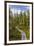 USA, Alaska, Tetlin National Wildlife Refuge. Scenic of Hidden Lake Trail.-Jaynes Gallery-Framed Premium Photographic Print