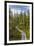 USA, Alaska, Tetlin National Wildlife Refuge. Scenic of Hidden Lake Trail.-Jaynes Gallery-Framed Premium Photographic Print