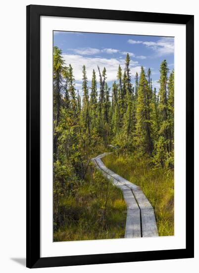 USA, Alaska, Tetlin National Wildlife Refuge. Scenic of Hidden Lake Trail.-Jaynes Gallery-Framed Premium Photographic Print