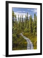 USA, Alaska, Tetlin National Wildlife Refuge. Scenic of Hidden Lake Trail.-Jaynes Gallery-Framed Premium Photographic Print