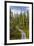 USA, Alaska, Tetlin National Wildlife Refuge. Scenic of Hidden Lake Trail.-Jaynes Gallery-Framed Premium Photographic Print