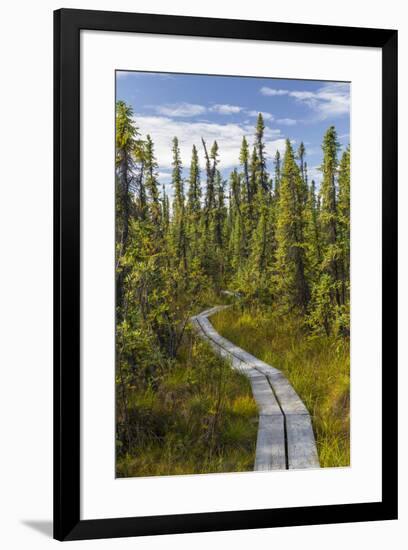 USA, Alaska, Tetlin National Wildlife Refuge. Scenic of Hidden Lake Trail.-Jaynes Gallery-Framed Premium Photographic Print