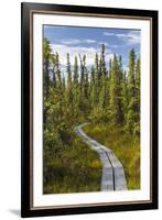 USA, Alaska, Tetlin National Wildlife Refuge. Scenic of Hidden Lake Trail.-Jaynes Gallery-Framed Premium Photographic Print