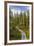 USA, Alaska, Tetlin National Wildlife Refuge. Scenic of Hidden Lake Trail.-Jaynes Gallery-Framed Premium Photographic Print