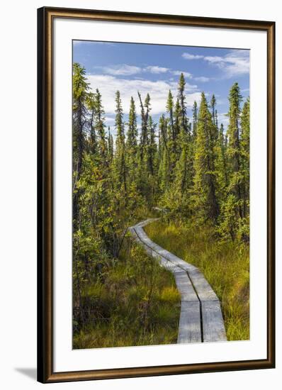 USA, Alaska, Tetlin National Wildlife Refuge. Scenic of Hidden Lake Trail.-Jaynes Gallery-Framed Premium Photographic Print