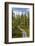 USA, Alaska, Tetlin National Wildlife Refuge. Scenic of Hidden Lake Trail.-Jaynes Gallery-Framed Photographic Print