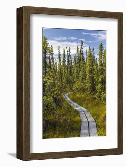 USA, Alaska, Tetlin National Wildlife Refuge. Scenic of Hidden Lake Trail.-Jaynes Gallery-Framed Photographic Print