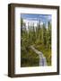 USA, Alaska, Tetlin National Wildlife Refuge. Scenic of Hidden Lake Trail.-Jaynes Gallery-Framed Photographic Print