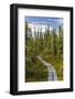 USA, Alaska, Tetlin National Wildlife Refuge. Scenic of Hidden Lake Trail.-Jaynes Gallery-Framed Photographic Print