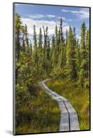 USA, Alaska, Tetlin National Wildlife Refuge. Scenic of Hidden Lake Trail.-Jaynes Gallery-Mounted Photographic Print