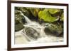 USA, Alaska, Tongass National Forest. Anan Creek scenic.-Jaynes Gallery-Framed Premium Photographic Print