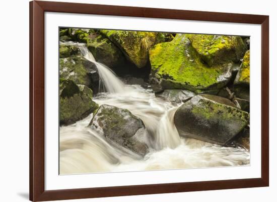 USA, Alaska, Tongass National Forest. Anan Creek scenic.-Jaynes Gallery-Framed Premium Photographic Print