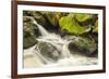USA, Alaska, Tongass National Forest. Anan Creek scenic.-Jaynes Gallery-Framed Premium Photographic Print