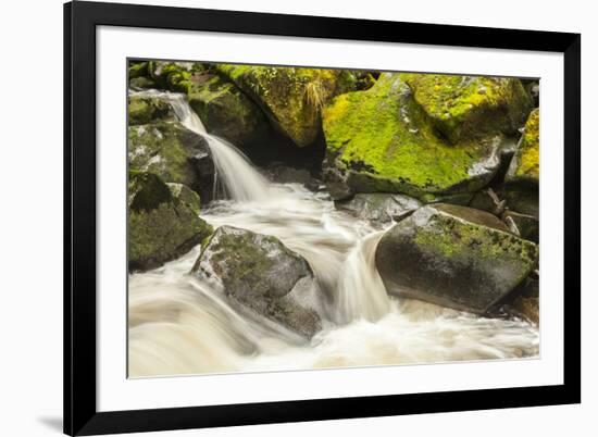 USA, Alaska, Tongass National Forest. Anan Creek scenic.-Jaynes Gallery-Framed Premium Photographic Print