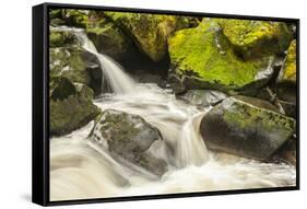 USA, Alaska, Tongass National Forest. Anan Creek scenic.-Jaynes Gallery-Framed Stretched Canvas