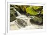 USA, Alaska, Tongass National Forest. Anan Creek scenic.-Jaynes Gallery-Framed Photographic Print