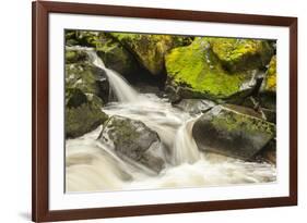 USA, Alaska, Tongass National Forest. Anan Creek scenic.-Jaynes Gallery-Framed Photographic Print