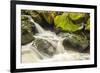 USA, Alaska, Tongass National Forest. Anan Creek scenic.-Jaynes Gallery-Framed Photographic Print