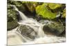 USA, Alaska, Tongass National Forest. Anan Creek scenic.-Jaynes Gallery-Mounted Photographic Print