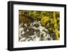 USA, Alaska, Tongass National Forest. Anan Creek scenic.-Jaynes Gallery-Framed Photographic Print