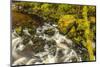 USA, Alaska, Tongass National Forest. Anan Creek scenic.-Jaynes Gallery-Mounted Photographic Print