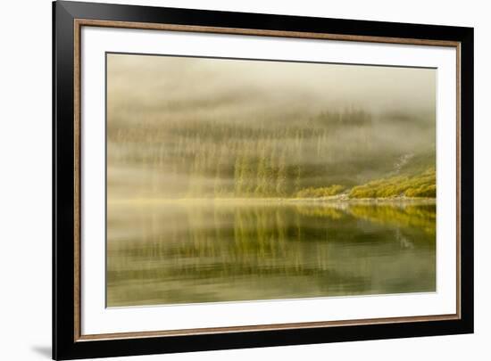 USA, Alaska, Tongass National Forest. Endicott Arm in fog.-Jaynes Gallery-Framed Premium Photographic Print