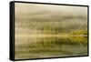 USA, Alaska, Tongass National Forest. Endicott Arm in fog.-Jaynes Gallery-Framed Stretched Canvas