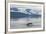 USA, Alaska, Tongass National Forest. Humpback whale diving.-Jaynes Gallery-Framed Premium Photographic Print