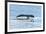 USA, Alaska, Tongass National Forest. Humpback whale diving.-Jaynes Gallery-Framed Premium Photographic Print