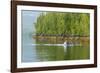 USA, Alaska, Tongass National Forest. Humpback whale lunge feeds.-Jaynes Gallery-Framed Photographic Print