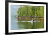 USA, Alaska, Tongass National Forest. Humpback whale lunge feeds.-Jaynes Gallery-Framed Photographic Print