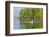 USA, Alaska, Tongass National Forest. Humpback whale lunge feeds.-Jaynes Gallery-Framed Photographic Print