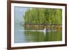 USA, Alaska, Tongass National Forest. Humpback whale lunge feeds.-Jaynes Gallery-Framed Premium Photographic Print