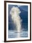 USA, Alaska, Tongass National Forest. Humpback whale spouts on surface.-Jaynes Gallery-Framed Premium Photographic Print