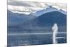 USA, Alaska, Tongass National Forest. Humpback whale spouts on surface.-Jaynes Gallery-Mounted Premium Photographic Print