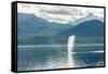 USA, Alaska, Tongass National Forest. Humpback whale spouts on surface.-Jaynes Gallery-Framed Stretched Canvas