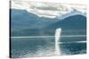 USA, Alaska, Tongass National Forest. Humpback whale spouts on surface.-Jaynes Gallery-Stretched Canvas