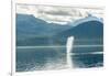 USA, Alaska, Tongass National Forest. Humpback whale spouts on surface.-Jaynes Gallery-Framed Photographic Print