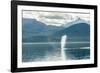 USA, Alaska, Tongass National Forest. Humpback whale spouts on surface.-Jaynes Gallery-Framed Photographic Print