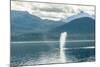 USA, Alaska, Tongass National Forest. Humpback whale spouts on surface.-Jaynes Gallery-Mounted Photographic Print