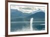 USA, Alaska, Tongass National Forest. Humpback whale spouts on surface.-Jaynes Gallery-Framed Premium Photographic Print