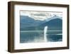 USA, Alaska, Tongass National Forest. Humpback whale spouts on surface.-Jaynes Gallery-Framed Photographic Print