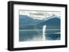 USA, Alaska, Tongass National Forest. Humpback whale spouts on surface.-Jaynes Gallery-Framed Photographic Print