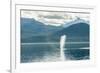 USA, Alaska, Tongass National Forest. Humpback whale spouts on surface.-Jaynes Gallery-Framed Photographic Print