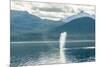 USA, Alaska, Tongass National Forest. Humpback whale spouts on surface.-Jaynes Gallery-Mounted Photographic Print