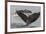 USA, Alaska, Tongass National Forest. Humpback whales diving.-Jaynes Gallery-Framed Premium Photographic Print