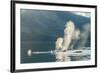 USA, Alaska, Tongass National Forest. Humpback whales spout on surface.-Jaynes Gallery-Framed Premium Photographic Print