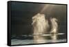 USA, Alaska, Tongass National Forest. Humpback whales spout on surface.-Jaynes Gallery-Framed Stretched Canvas